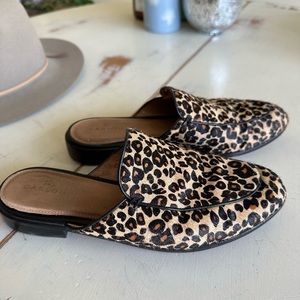Evelyn Genuine Leather Leopard Print Calf Hair Mule - 7M